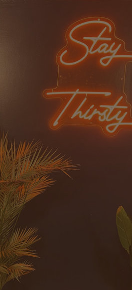 Orange neon sign reading Stay Thirsty on dark wall with palm fronds in coworking space.